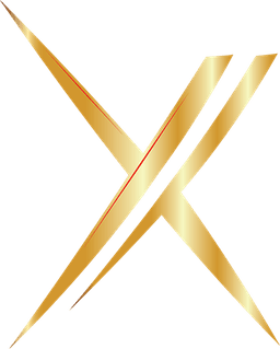 x logo